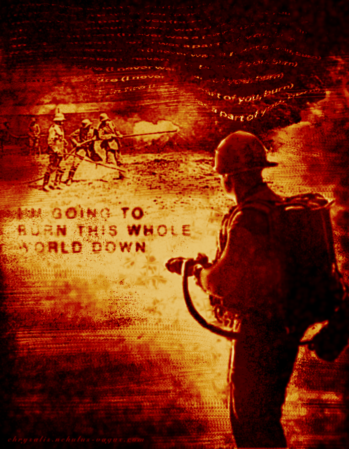 Digital art in warm, burning tones (black, red, bronze, yellow). A soldier, holding a flamethrower, stares at a group of fellow soldiers setting something ablaze. Smoke and fire rises to the sky. The edges of the art look charred. Text reads “I’M GOING TO BURN THIS WHOLE WORLD DOWN”.